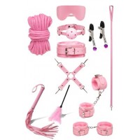 BDSM Набор большой розовый с щекоталкой 