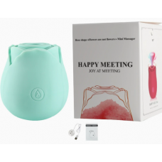 Вакууматор Rose Flower vibe (lightblue)