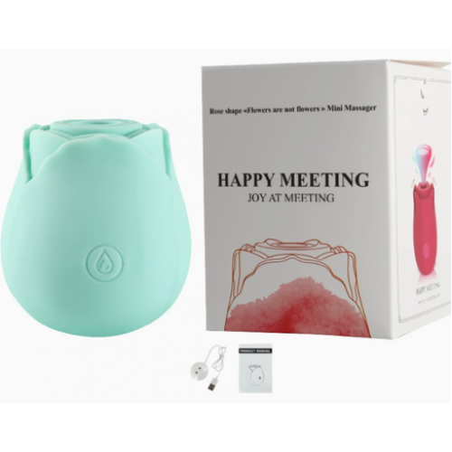 Вакууматор Rose Flower vibe (lightblue)