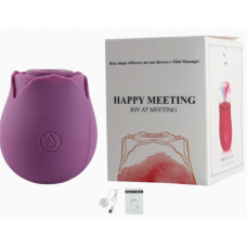 Вакууматор Rose Flower vibe (purple)
