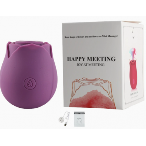 Вакууматор Rose Flower vibe (purple)
