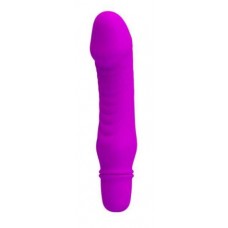 Stev Компактный Вибратор фиолетового цвета BI-014510